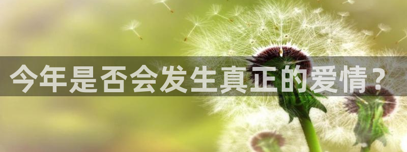 mg不朽情缘体育代理：今年是否会发生真正的爱情？