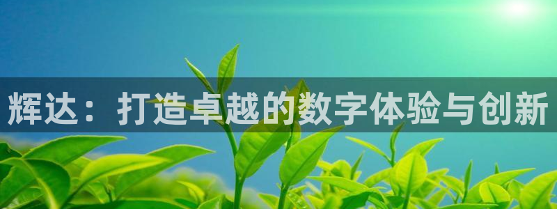 mg不朽情缘平台注册入口：辉达：打造卓越的数字体验与创新