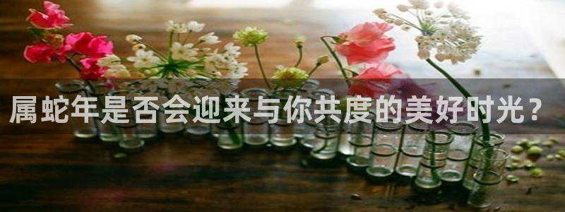 mg不朽情缘平台：属蛇年是否会迎来与你共度的美好时光？