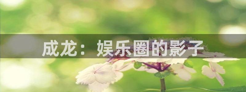 mg不朽情缘登陆：成龙：娱乐圈的影子