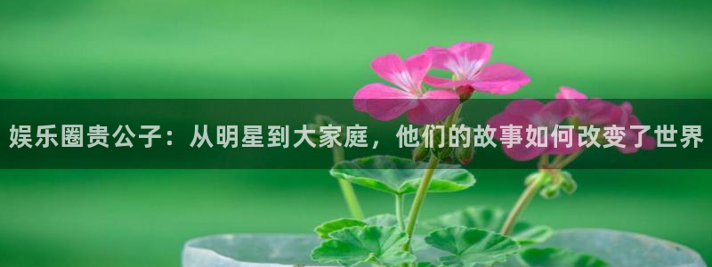 mg不朽情缘集团官网：娱乐圈贵公子：从明星到大家庭，他们的故事如何改变了世界