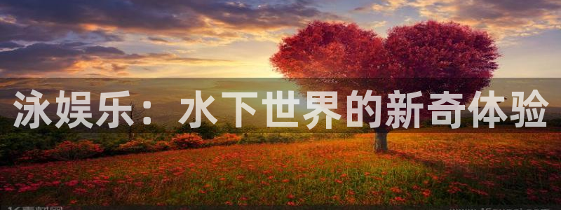 mg不朽情缘：泳娱乐：水下世界的新奇体验