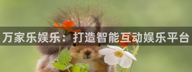 mg不朽情缘体育平台注册：万家乐娱乐：打造智能互动娱乐平台