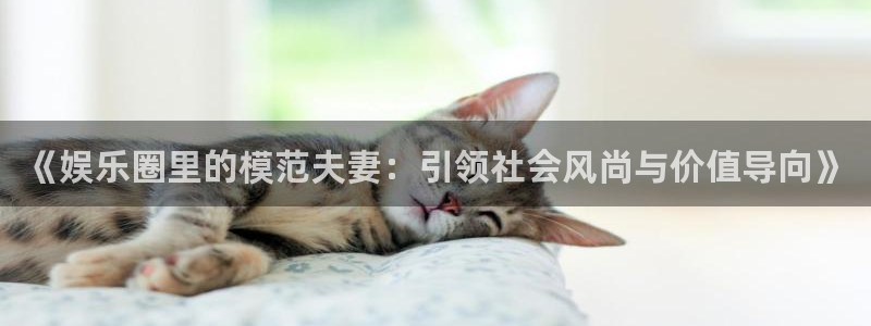 mg不朽情缘3平台登录注册：《娱乐圈里的模范夫妻：引领社会风尚与价值导向》