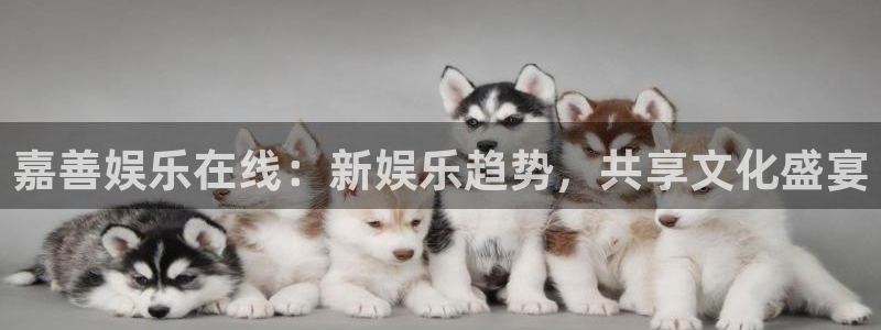 mg不朽情缘体育代理