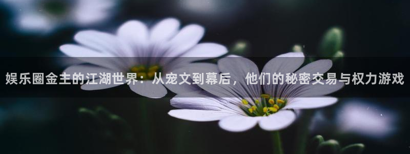 mg不朽情缘平台主管：娱乐圈金主的江湖世界：从宠文到幕后，他们的秘密交易与权力游