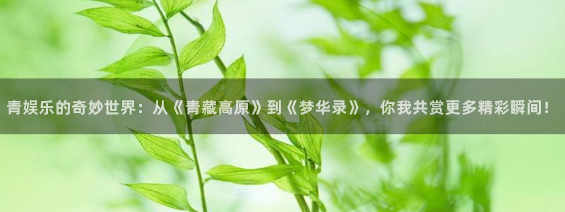mg不朽情缘零能源集团：青娱乐的奇妙世界：从《青藏高原》到《梦华录》，你我共赏更