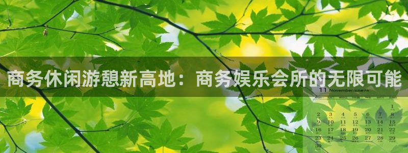 mg不朽情缘平台注册：商务休闲游憩新高地：商务娱乐会所的无限可能