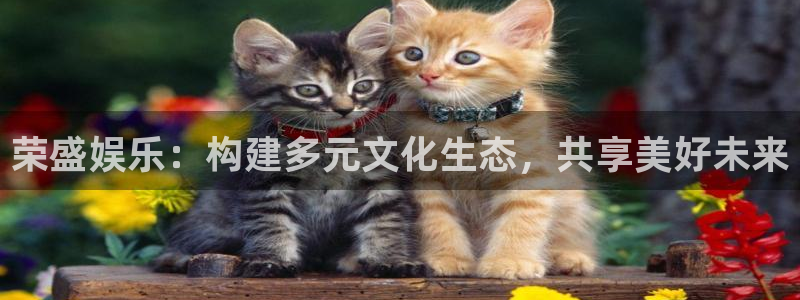 mg不朽情缘体育平台开号链接：荣盛娱乐：构建多元文化生态，共享美好未来