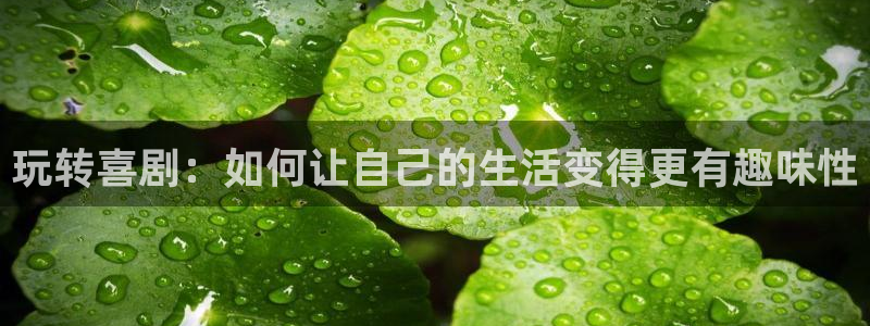 mg不朽情缘登陆：玩转喜剧：如何让自己的生活变得更有趣味性