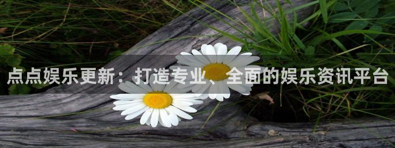 mg不朽情缘2体育登录入口：点点娱乐更新：打造专业、全面的娱乐资讯平台