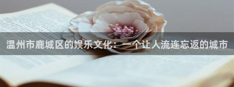 mg不朽情缘kgame：温州市鹿城区的娱乐文化：一个让人流连忘返的城市