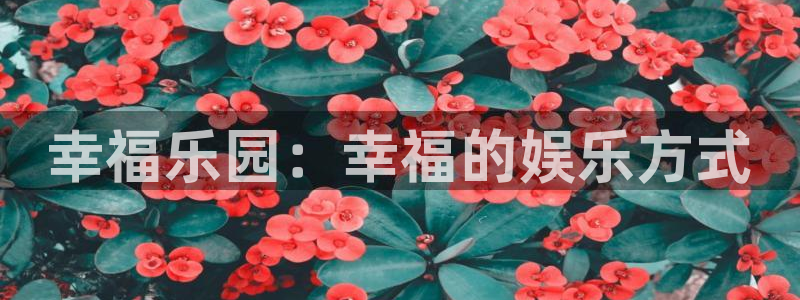 mg不朽情缘2体育登录入口：幸福乐园：幸福的娱乐方式