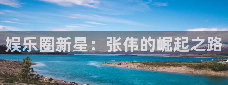 mg不朽情缘集团股票：娱乐圈新星：张伟的崛起之路